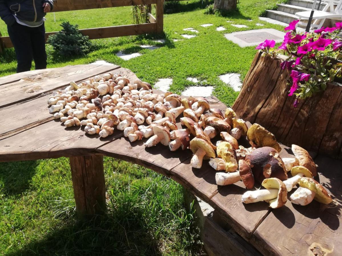 ליביניו Chalet Pizabela Bait Da Pizabela מראה חיצוני תמונה